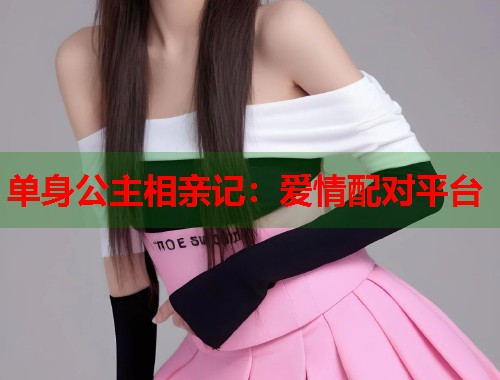 单身公主相亲记：爱情配对平台  第2张