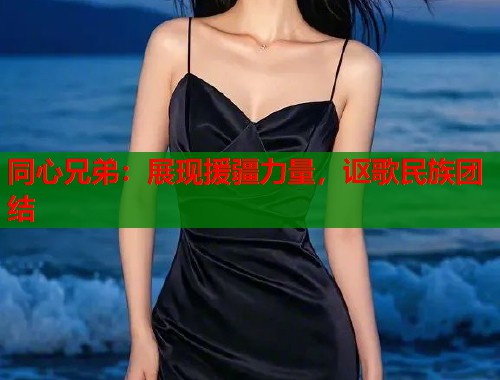 同心兄弟：展现援疆力量，讴歌民族团结  第2张