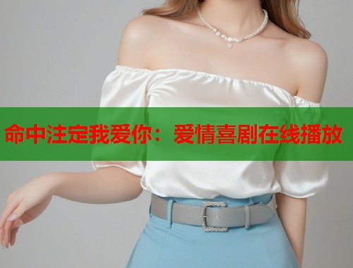 命中注定我爱你：爱情喜剧在线播放  第1张