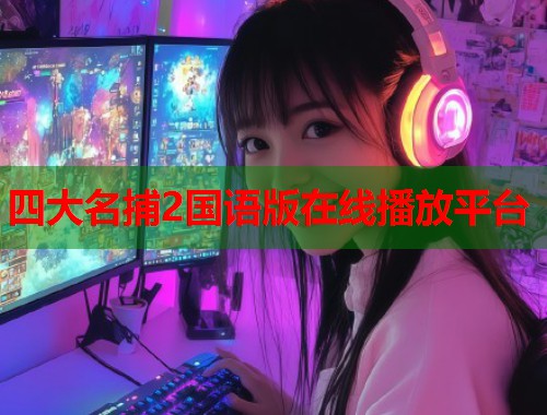 四大名捕2国语版在线播放平台  第1张