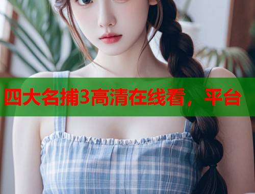 四大名捕3高清在线看，平台  第1张