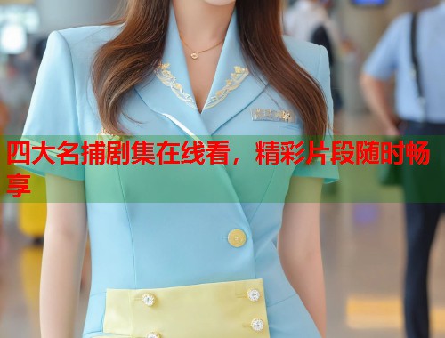 四大名捕剧集在线看，精彩片段随时畅享  第1张