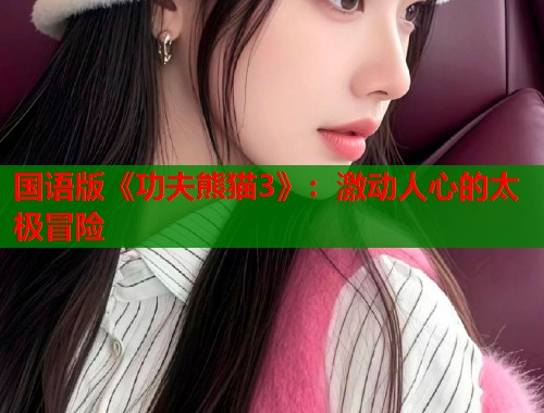 国语版《功夫熊猫3》：激动人心的太极冒险  第1张
