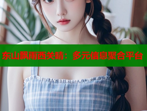 东山飘雨西关晴：多元信息聚合平台  第2张