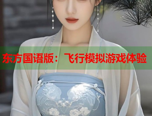 东方国语版：飞行模拟游戏体验  第1张