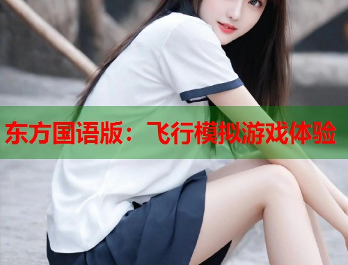 东方国语版：飞行模拟游戏体验  第2张