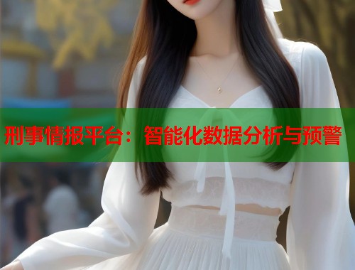 刑事情报平台：智能化数据分析与预警  第1张