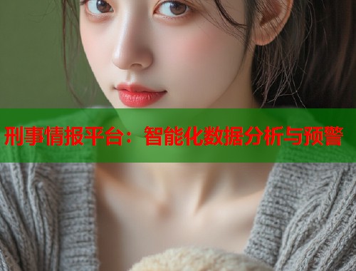 刑事情报平台：智能化数据分析与预警  第2张