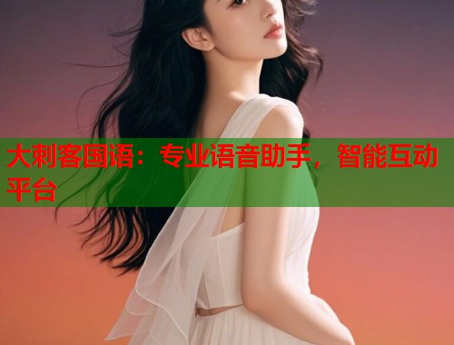大刺客国语：专业语音助手，智能互动平台  第2张