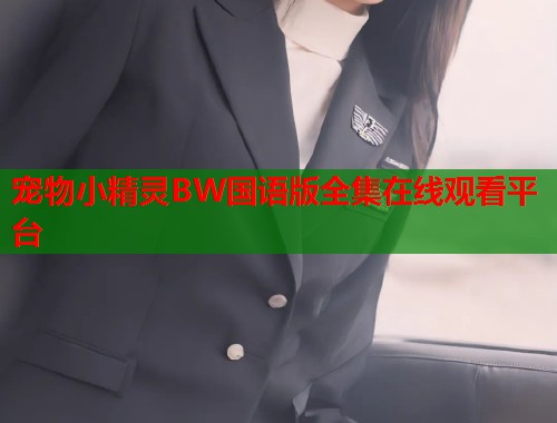 宠物小精灵BW国语版全集在线观看平台  第1张