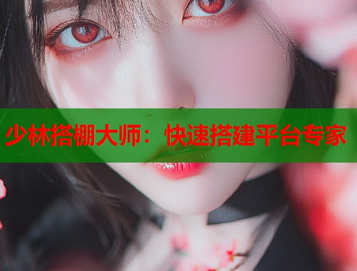 少林搭棚大师：快速搭建平台专家  第1张