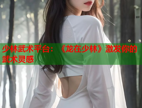 少林武术平台：《龙在少林》激发你的武术灵感  第1张